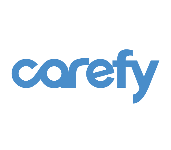 CAREFY SOLUCOES EM TECNOLOGIA DA INFORMACAO S/A